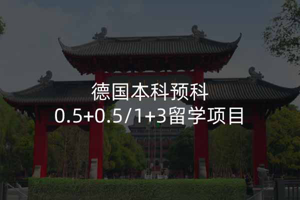 德国本科预科0.5+0.5/1+3留学项目